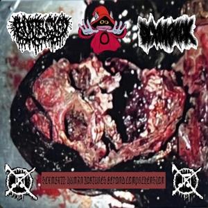 HUMAN MASTICATION AT THE LOCAL PLAYGROUND