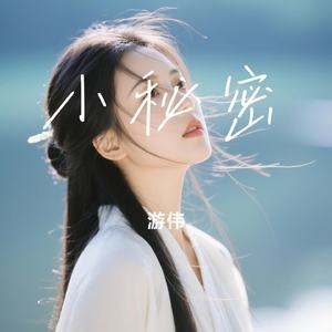 小秘密
