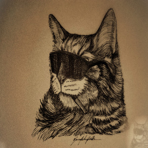El Gato