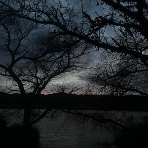 new recording 9 (feb 5, 2026) [stream by the tree]