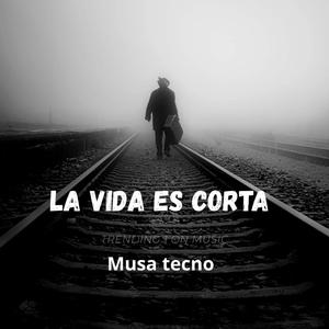 LA VIDA ES CORTA