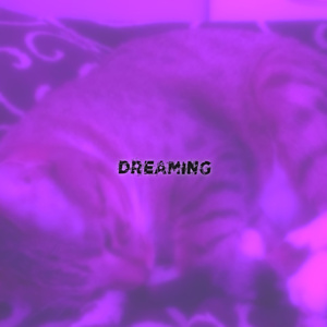 dreaming
