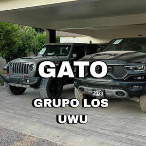 Gato