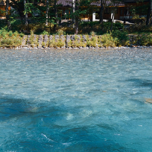 【自然音】夏の風物詩～セミの鳴き声・川のせせらぎ～