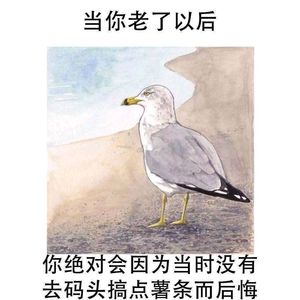 人生预演（Prod MoonVibe Beatz）