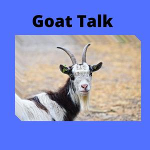 Goat Talk (feat. Lil Ghost)