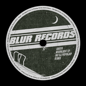 Moonlight (DJ Popinjay Remix)