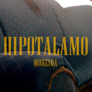 Hipotalamo
