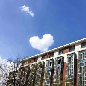 信件（翻自 朴素妍）