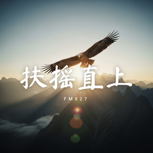 扶摇直上