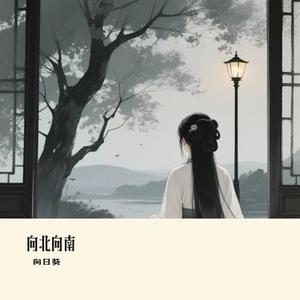 向北向南 (Cover 向思思)