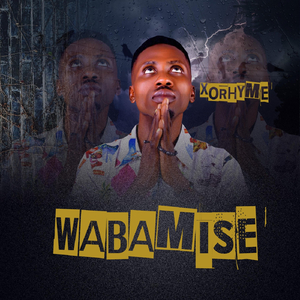 Wabamise