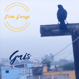 Gris