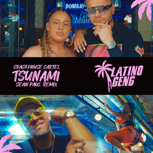 TSUNAMI (Sean Paul Remix)