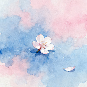 杏花春雨