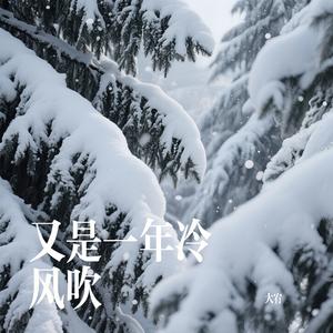 又是一年冷风吹