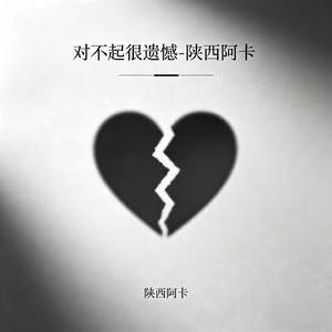 对不起很遗憾