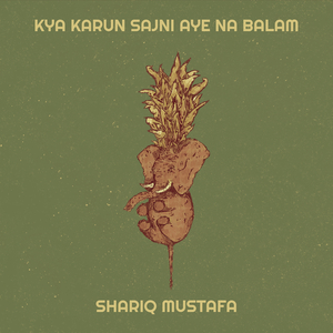Kya Karun Sajni Aye Na Balam
