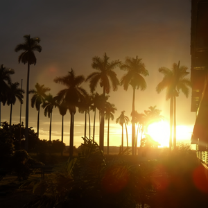 哈瓦那的晚风（温暖版）Aire De La Havana