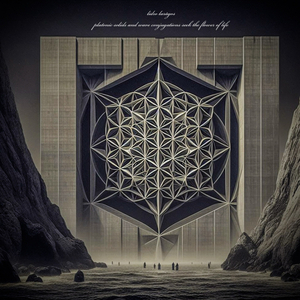 Platonic Solids and Wave Conjugations Seek the Flower of Life