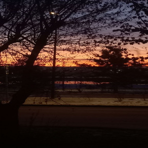 Привязанность