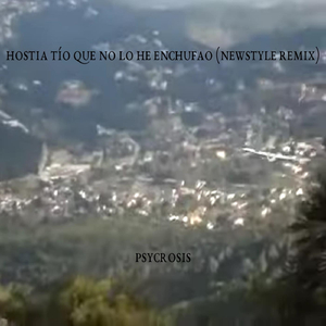 Hostia tío que no lo he enchufao (newstyle remix)