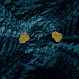 2 ляпка