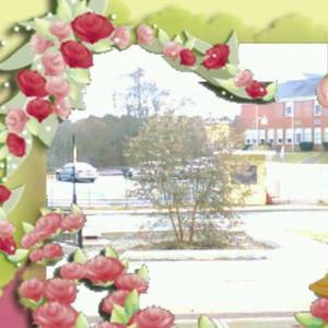 i could talk but,.,., who cares (feat. publicfreakout)