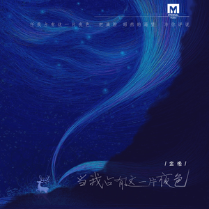 当我占有这一片夜色