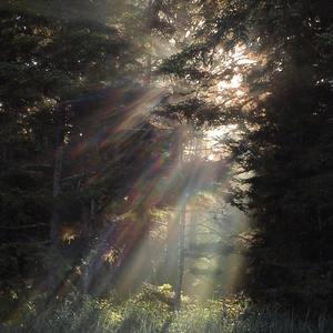 把世界丢在身后我们私奔吧！