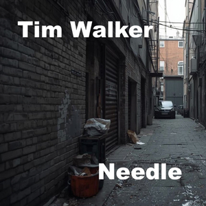 Needle