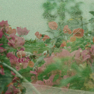 Jardín