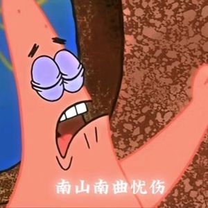 南山南南山南(派大星电话铃声)