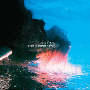 אחד וחצי שברונות לב