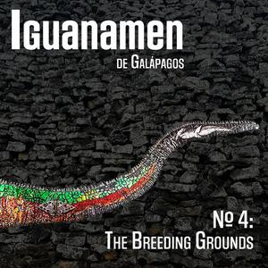 Cuentos de Amor y de Vida (feat. Gandhy Guerrero, Ana Reuschel, Brittyn Menzer, Alejandro Merizalde, Estefany Pérez, Mike Wendell, Lucas Napolitano, Eli Frazier & Fabricio Rodriguez)