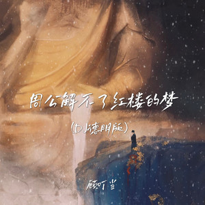 周公解不了红楼的梦 (DJ德朋版)