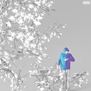 PÉTALES (feat. CSU & thresu)