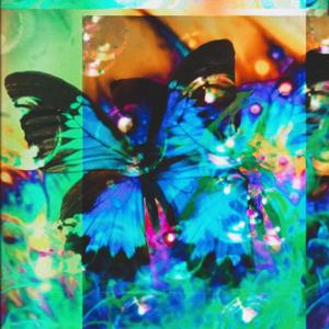Killing Butterflies (feat. Gum Disease)