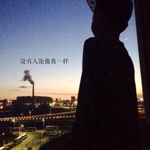 没有人能像我一样.<钢琴版 demo>