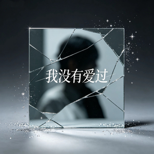 我没有爱过