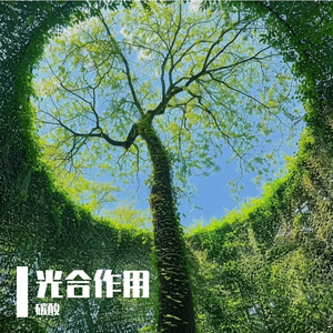 光合作用