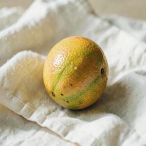 もう〜したくない (日本語にして )