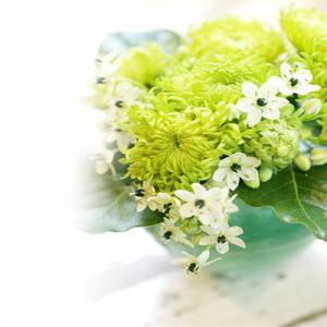 如果有时间你会来看一看我吧