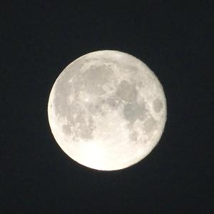 TÄYSIKUU (feat. Elttu)