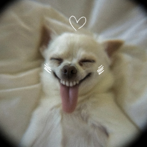 ถึงเเม้ว่าเรานั้นจะพึ่งเริ่มคุยกัน