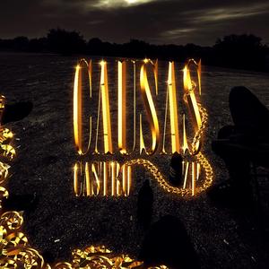 Causas