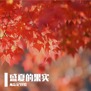 绕过山野的风呀-陈子渝-整曲