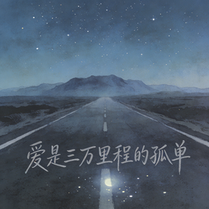爱是三万里程的孤单