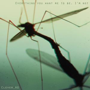 i cleaned the house but it didn't help my anxiety