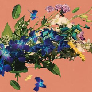 Waterworn (feat. Danica Dora)